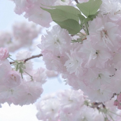 兽设暗黑风格设计FurryQQ群