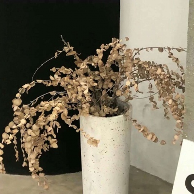 Furry绘画质感技巧Furry群